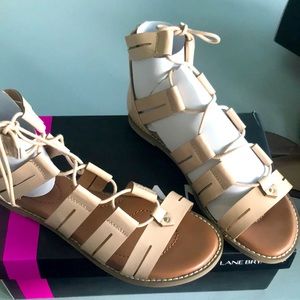 Lane Bryant laced up sandals.